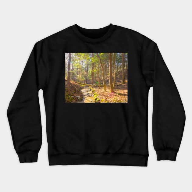 Follow that Creek Crewneck Sweatshirt by ncmckinney